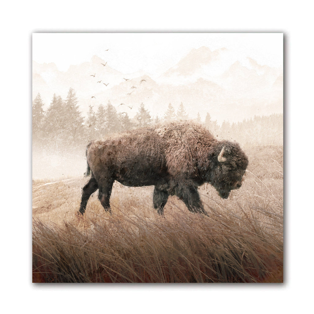 Lone Buffalo, Acrylic Painting, Unframed cheapest Giclée Print