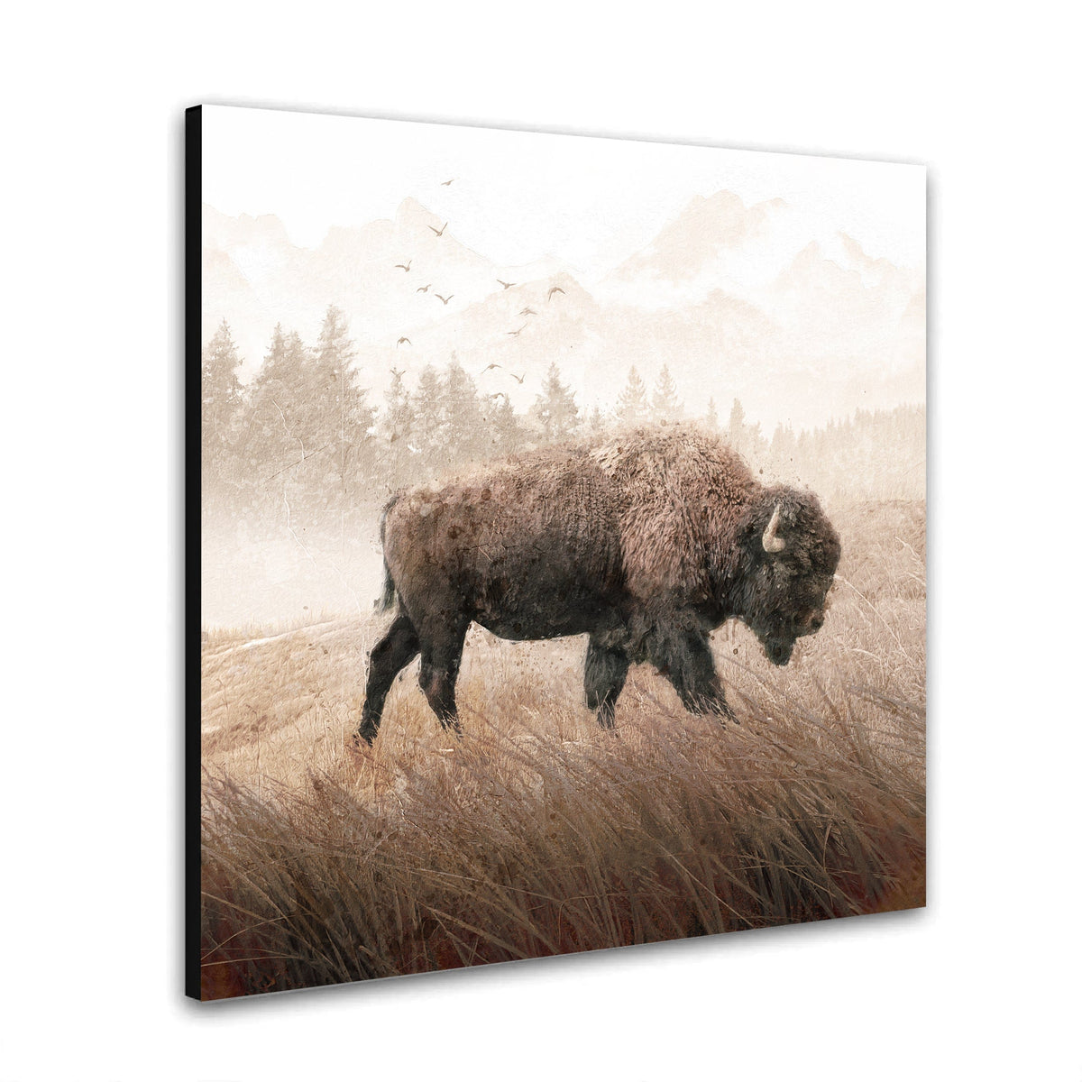 Personal-Prints art Lone Buffalo