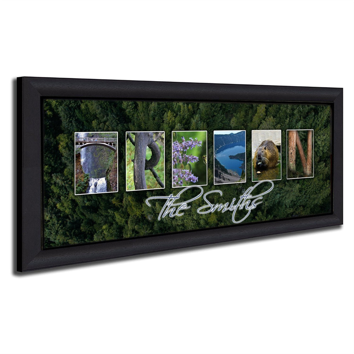 Personal-Prints art 13.5&quot;x32.5&quot; Framed Canvas OREGON - State Name Art