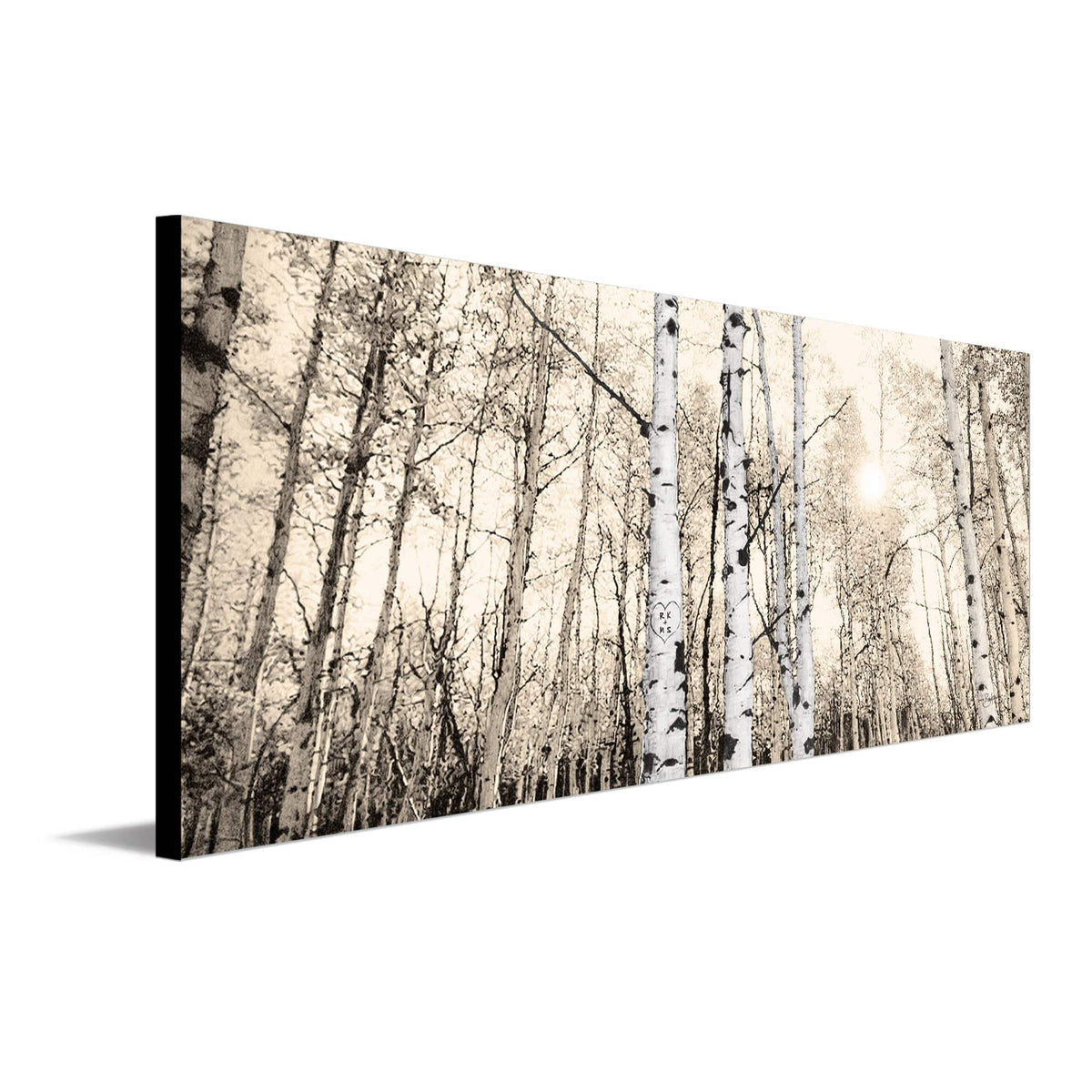 Personal-Prints art 9.5&quot;x26&quot; Block Mount Quaking Aspen