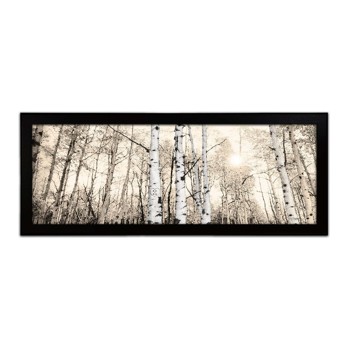 Personal-Prints art 13.5&quot;x32.5&quot; Framed Canvas Quaking Aspen