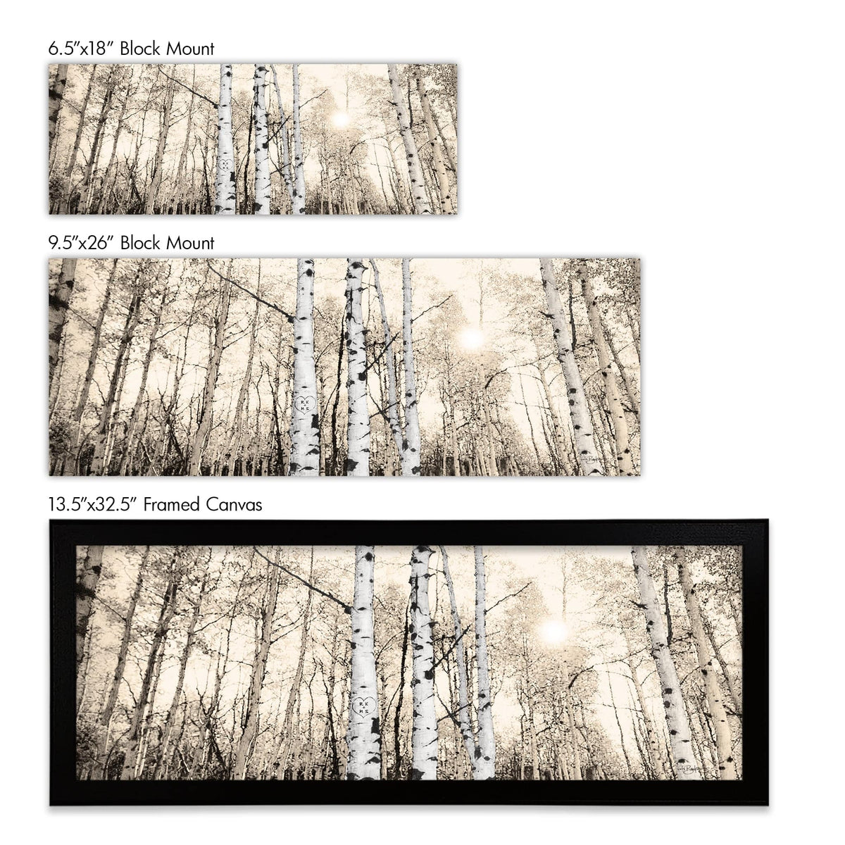 Personal-Prints art Quaking Aspen