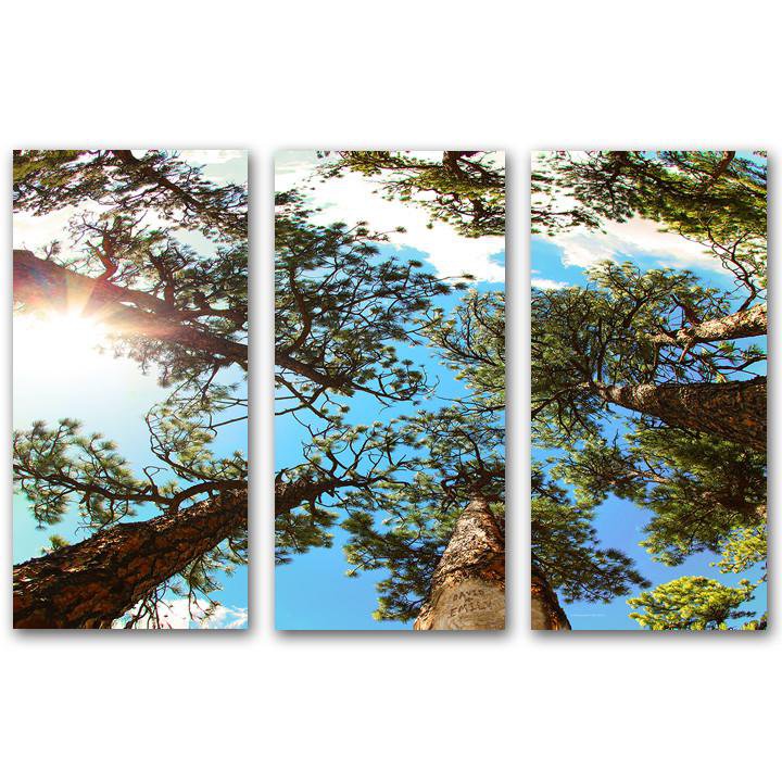 Personal-Prints art Through The Pines - Triptych