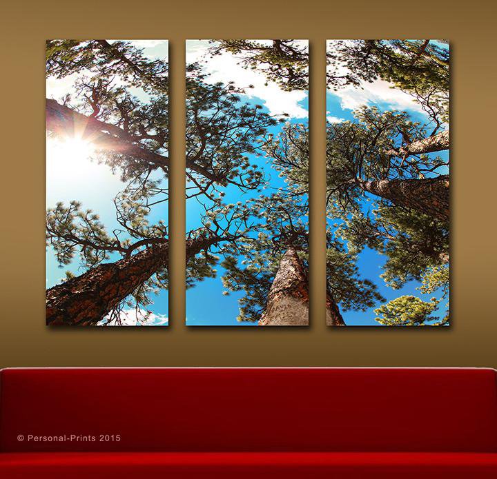 Personal-Prints art Through The Pines - Triptych