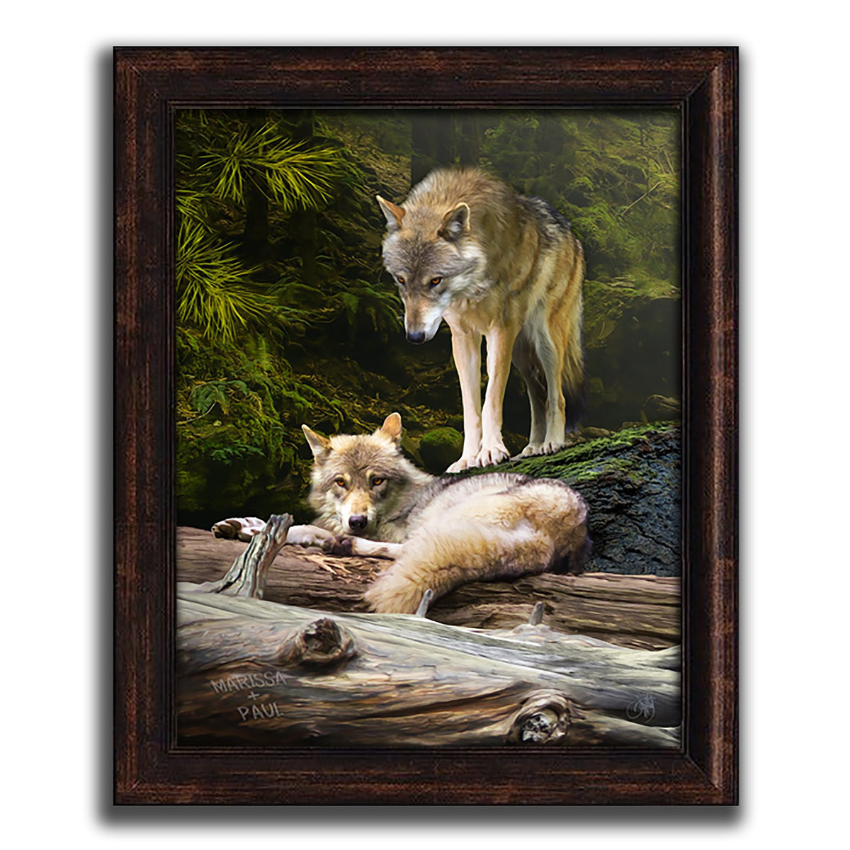 Wildlife decor of a wolf couple next to pine trees- Framed Canvas
